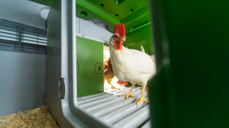 Deploying AI to low-powered edge devices